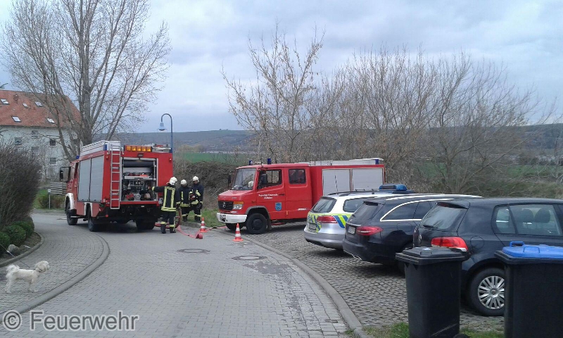 Feuer Feuer
