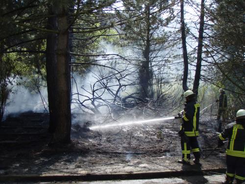 Feuer Feuer